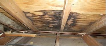 Roof leaks affect your bottom line

