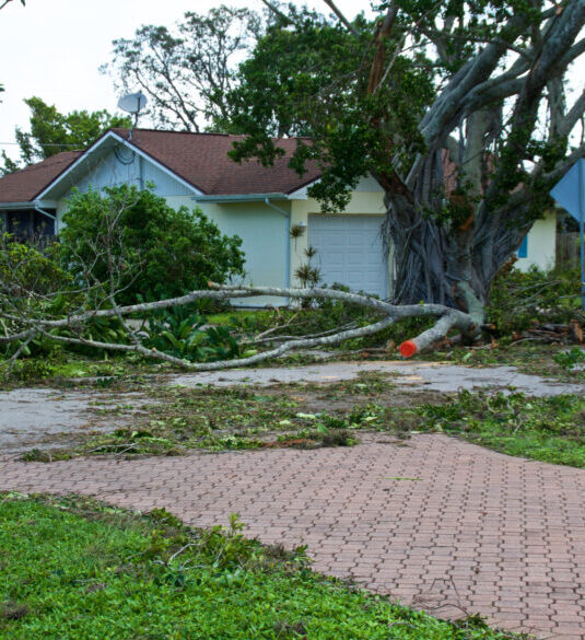 Spann Roofing Process