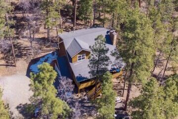 Homes Surrounded by Trees or Prone to Debris Buildup